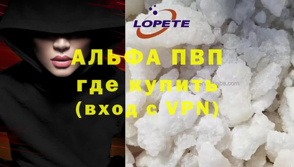 прущие грибы Бронницы