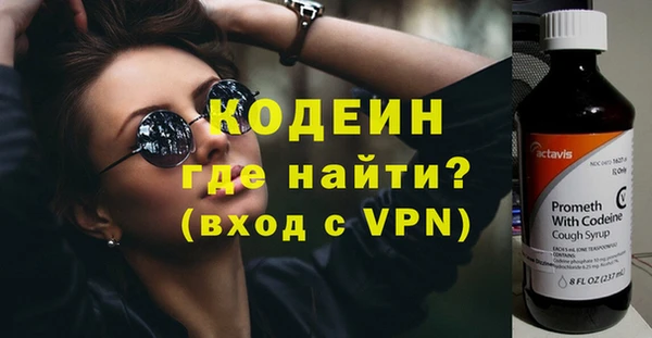 сатива Бородино