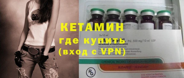 сатива Бородино