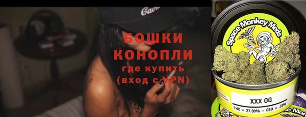 прущие грибы Бронницы