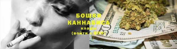 сатива Бородино
