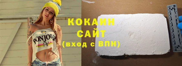 сатива Бородино