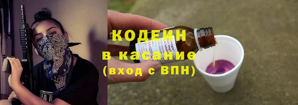 прущие грибы Бронницы