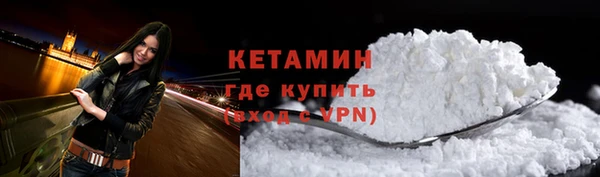 сатива Бородино