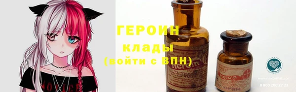 прущие грибы Бронницы