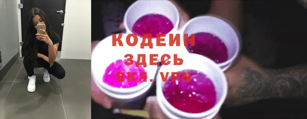 прущие грибы Бронницы
