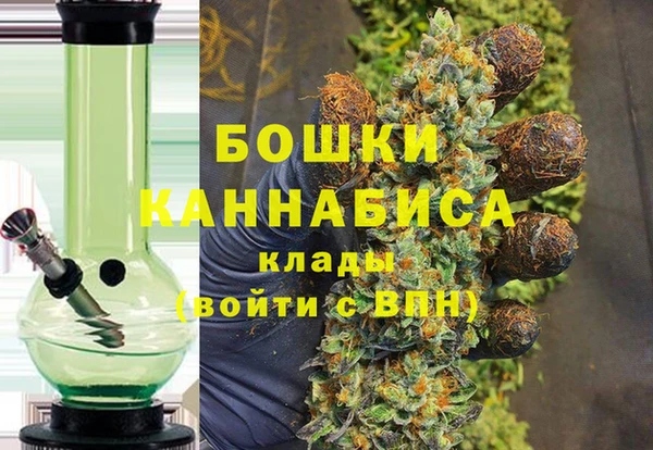 сатива Бородино