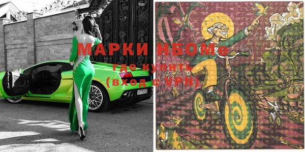 прущие грибы Бронницы