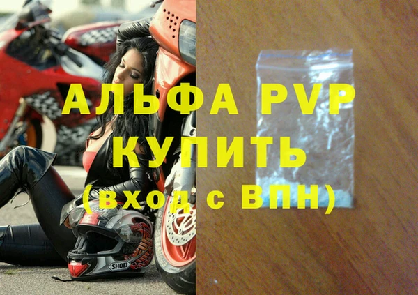 прущие грибы Бронницы