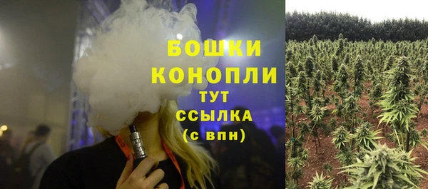 прущие грибы Бронницы