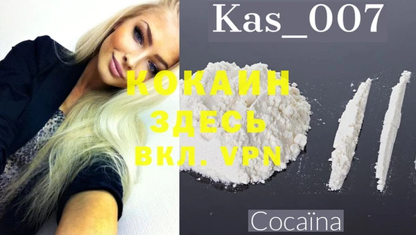 прущие грибы Бронницы