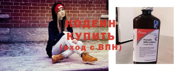 сатива Бородино